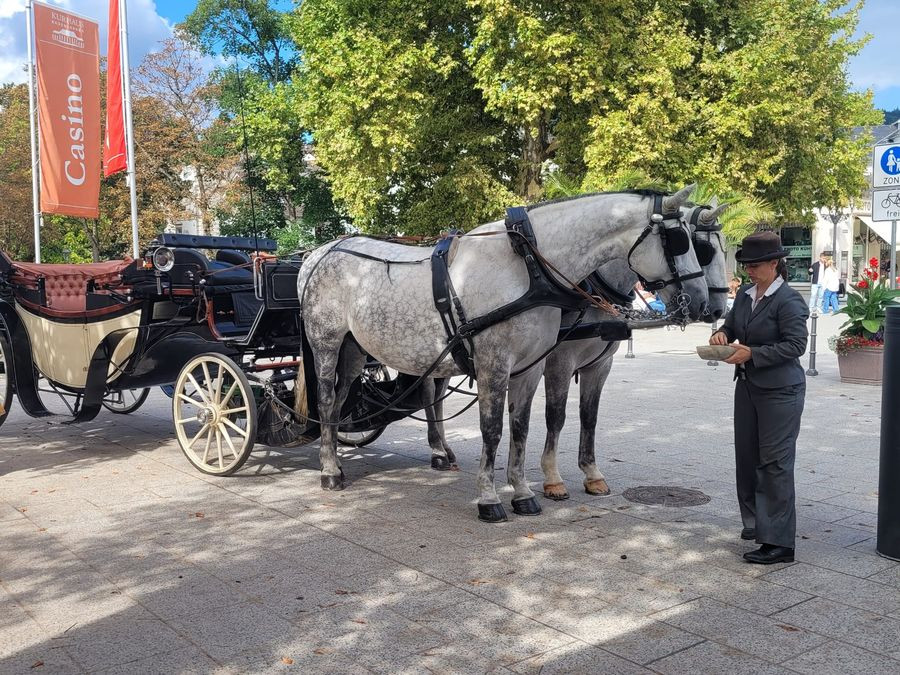 Pferdekutsche im Ortskern